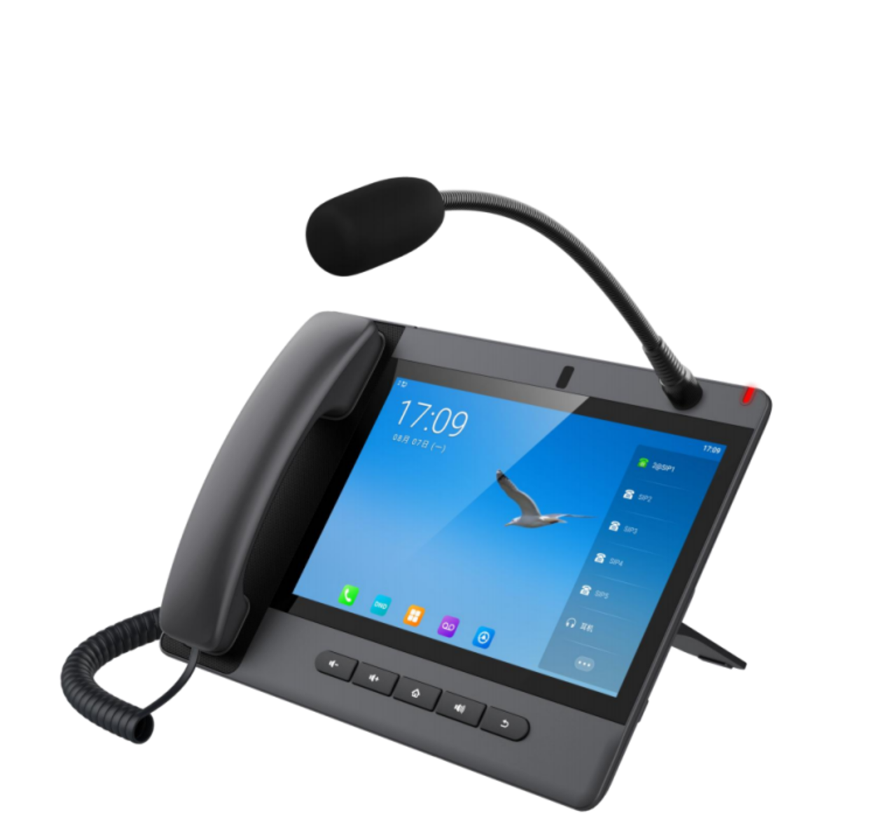 IP300